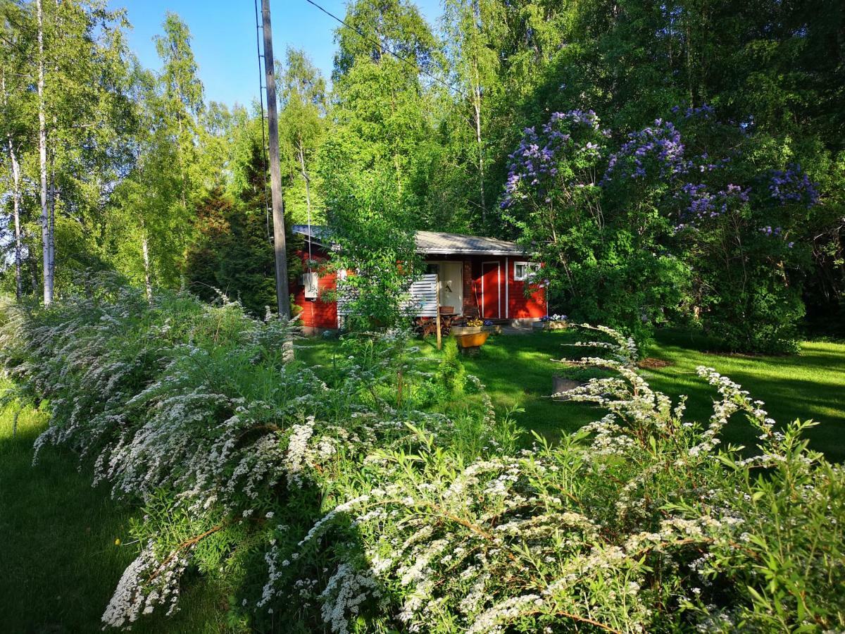Koivuniemi Cottage Sakyla Exterior photo